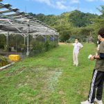 オフィス見学の様子です。働いている社員にインタビューをしたり、実際の業務の様子を見学します。